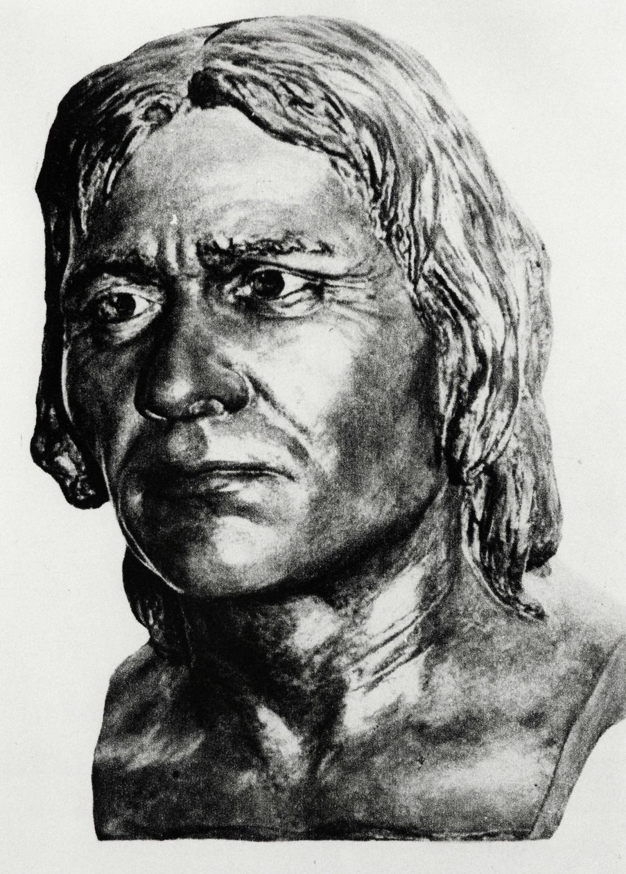 Préhistoire : reconstruction de l