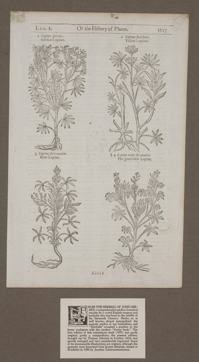 Page imprimée 1217 de 