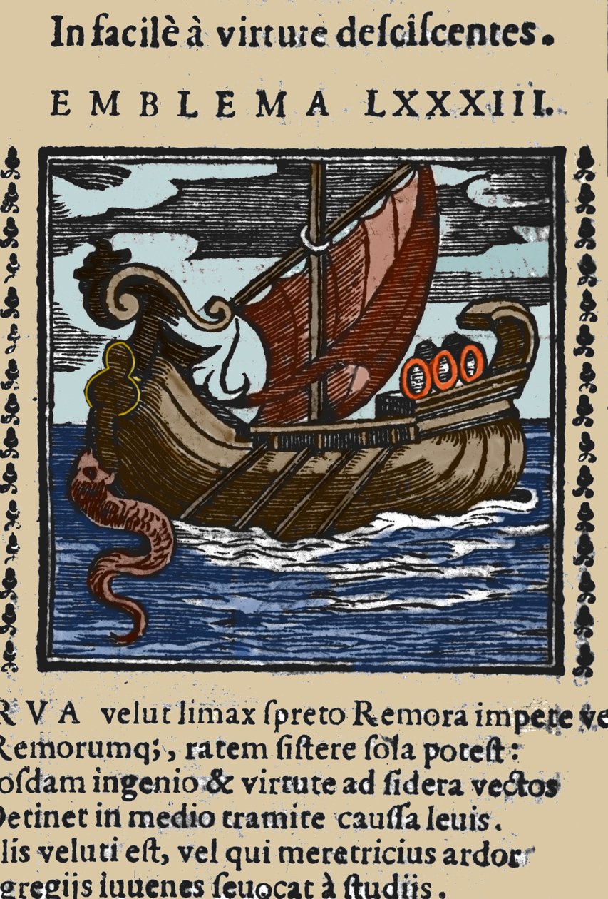 Représentation d