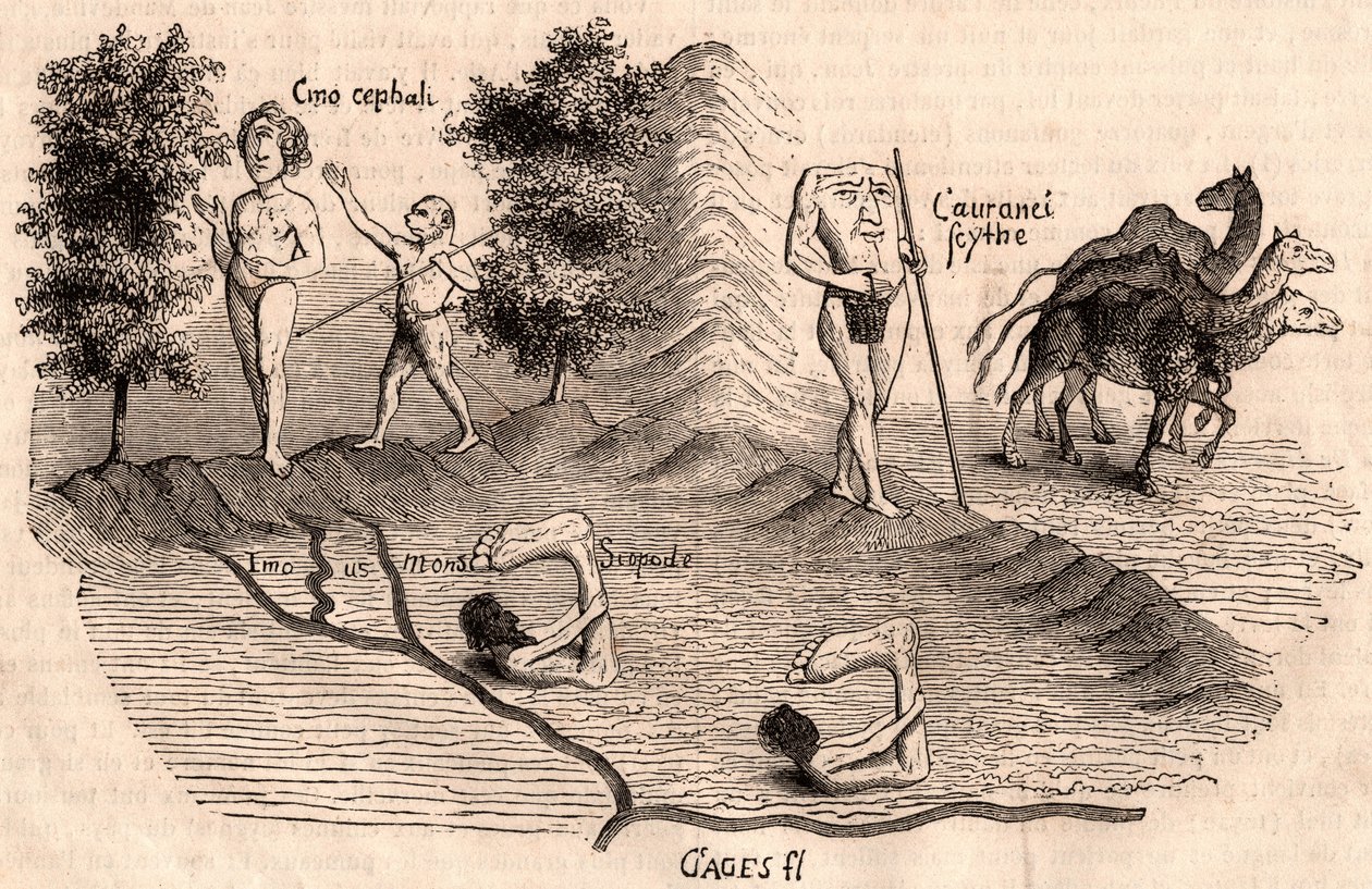 Représentation de tribus médiévales et d