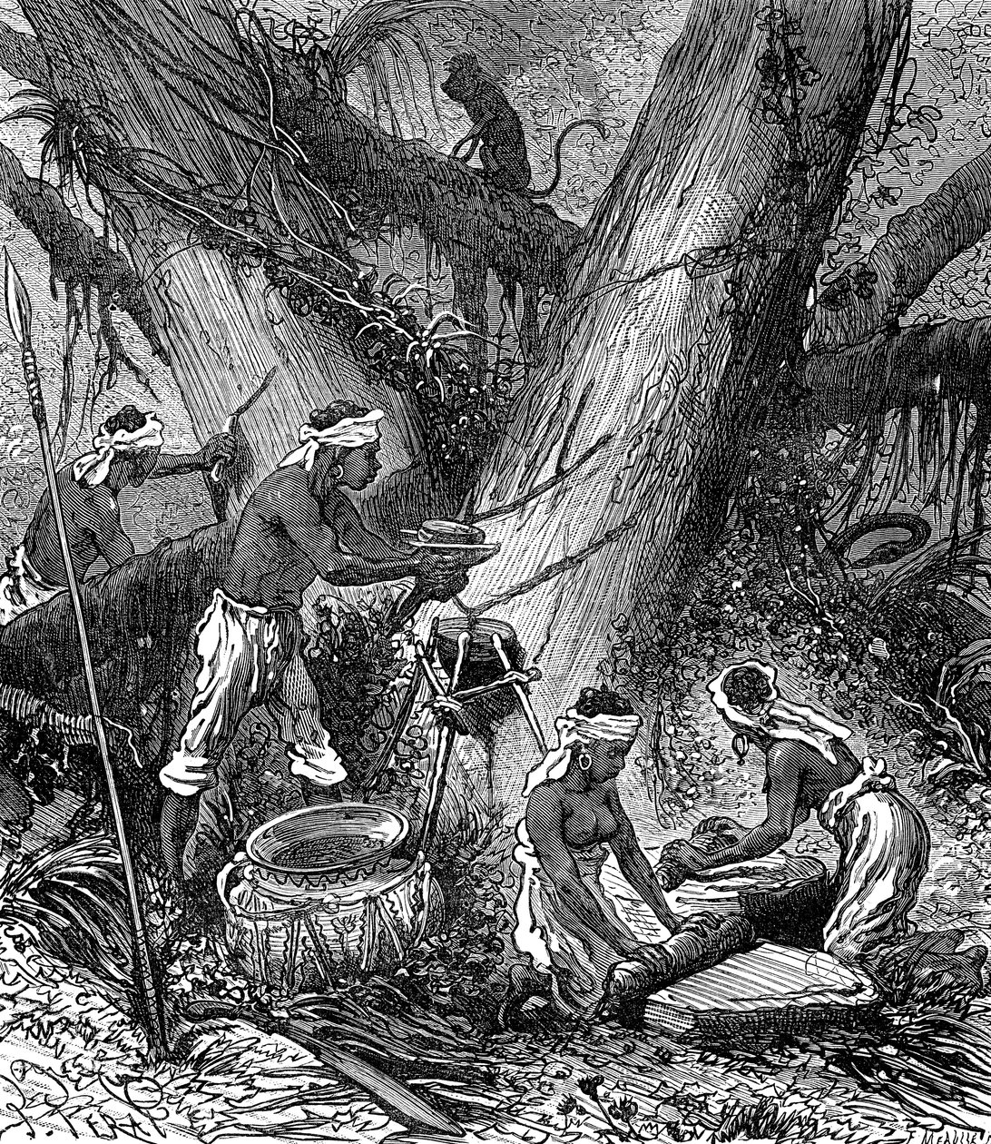 Récolte du caoutchouc dans la forêt de Malaisie (gravure) - Unknown Artist
