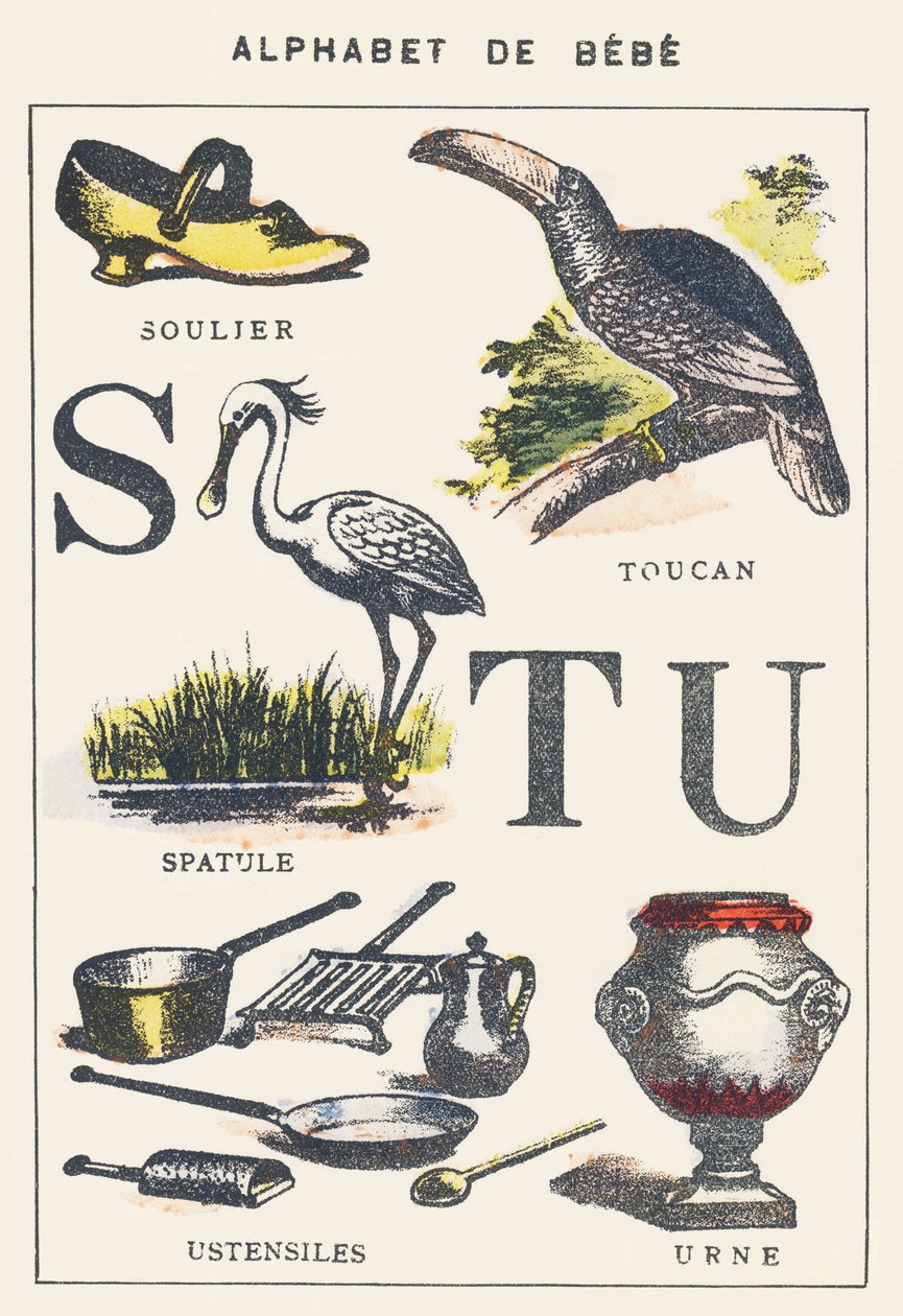 S T U: chaussure, spatule, toucan, ustensiles, urne - Unknown artist