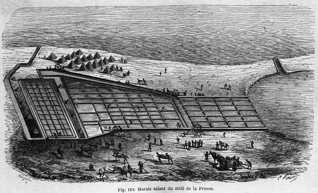 Production de sel : vue d