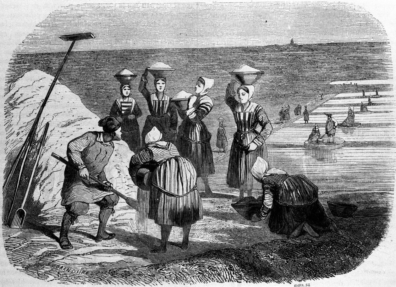 Production de sel : femmes travaillant dans les marais salants. Gravure du XIXe siècle - Unknown artist