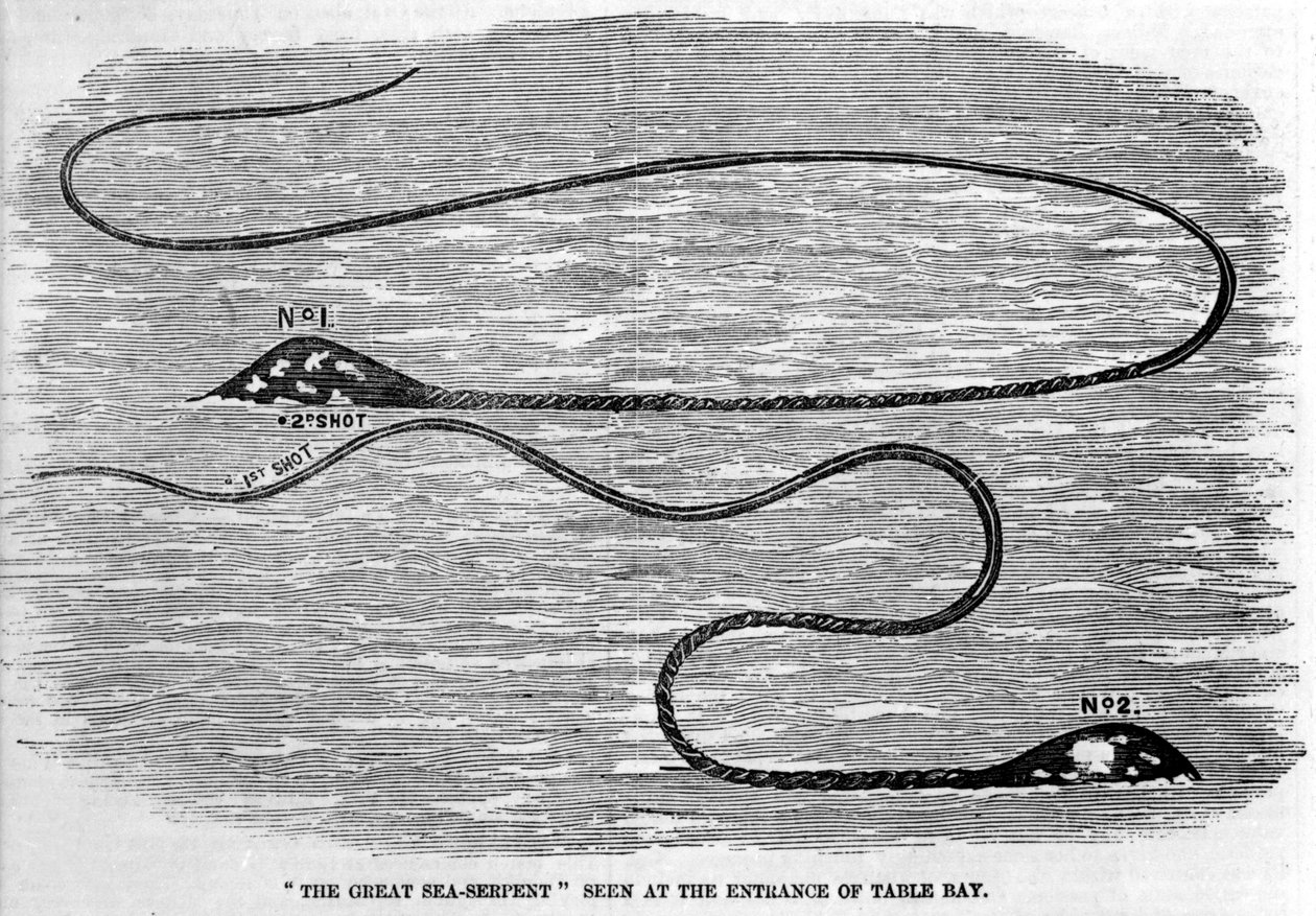 Serpent de mer vu en 1850 à l