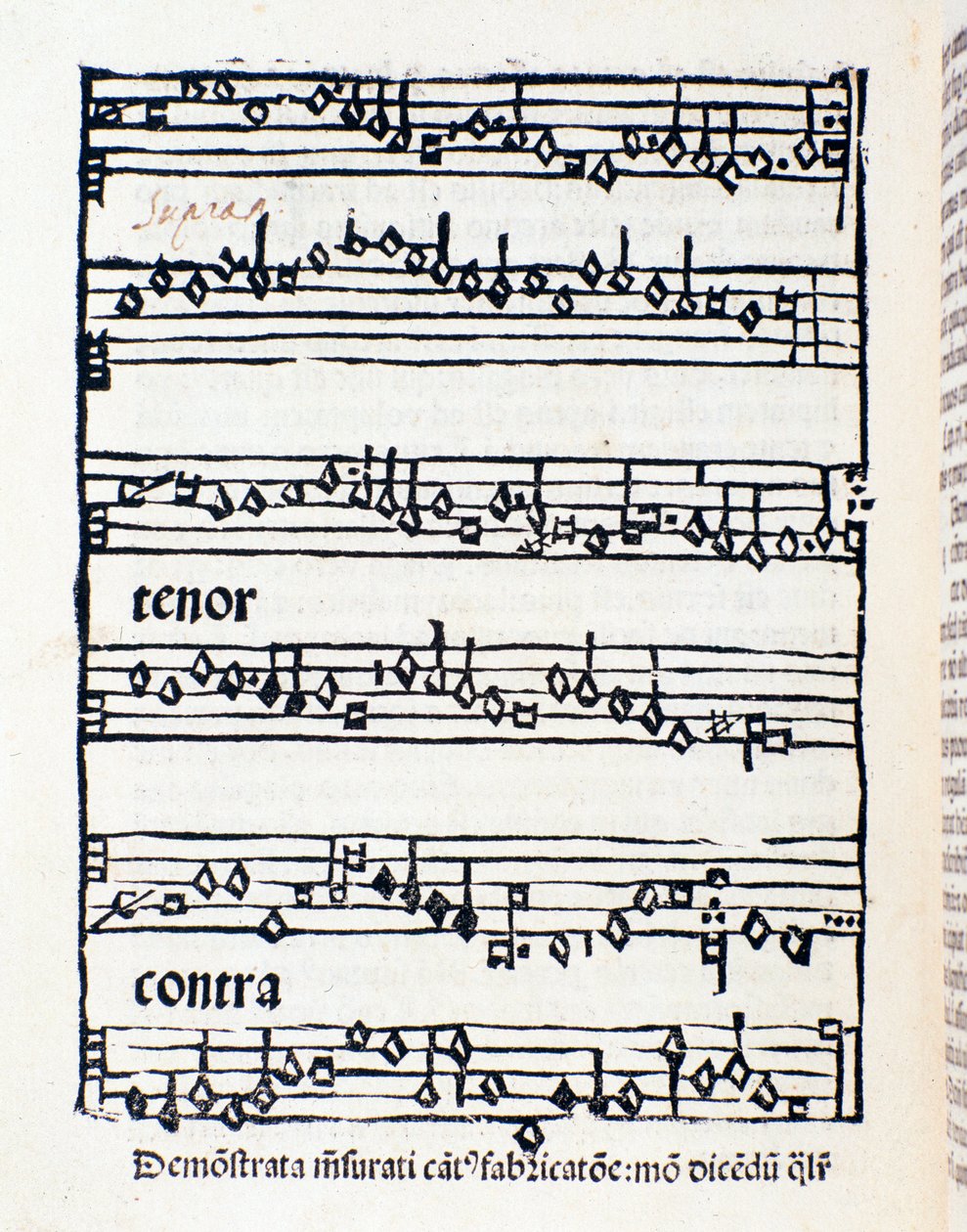 Page de partition pour Études musicologiques et documents par Nicola Burzio - Unknown artist