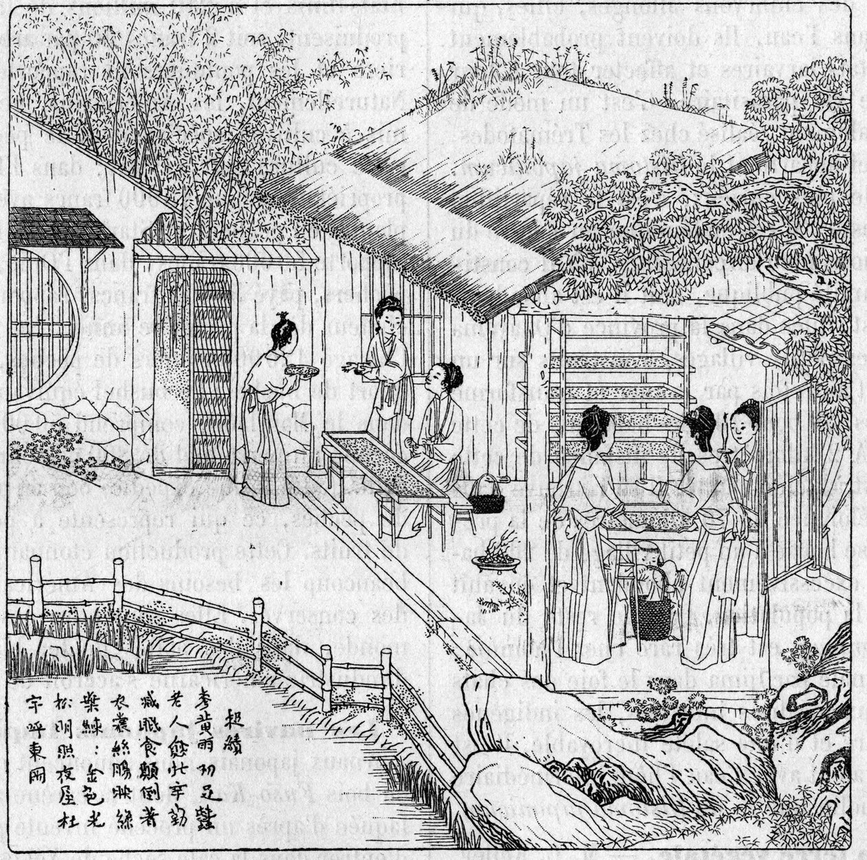 Soie et ver à soie en Chine : Séparation du ver qui veut filer. Gravure dans «La Nature : revue des sciences et de leurs applications aux arts et à l