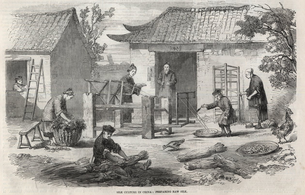 Production de soie en Chine et les différentes étapes de fabrication. - Unknown artist