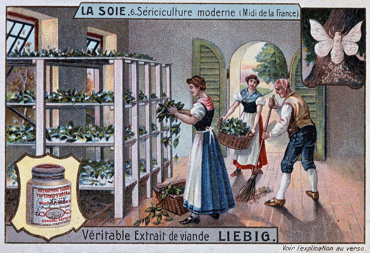 Soie : atelier de soie dans le sud de la France, publicité Liebig, v. 1895 - Unknown artist