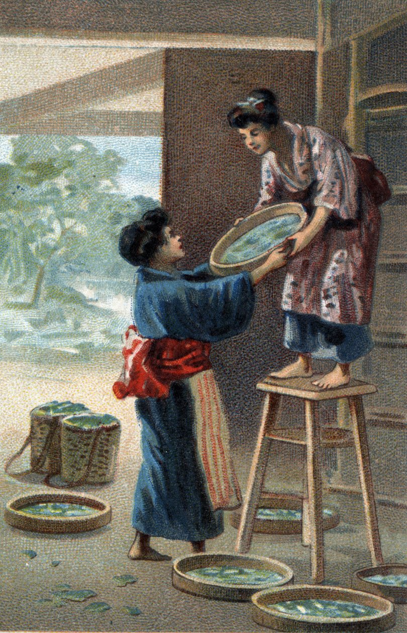 Élevage de vers à soie dans un aimant japonais. Chromolithographie de la fin du 19e siècle - Unknown artist