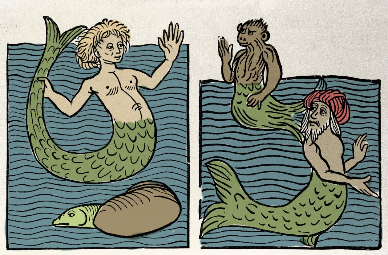 Sirène ou Vierge de la Mer, Singe et Turc de Mer. Gravure de « Hortus sanitatis » - Unknown artist