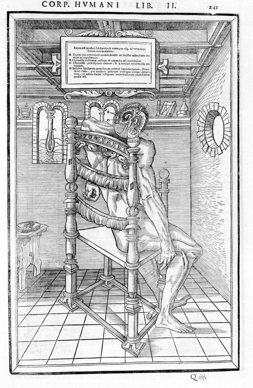 Coupe du crâne. Planche anatomique de « De dissectione partium corporis humani libri tres... » Carlo Stefano Riverio, Paris 1545 - Unknown artist