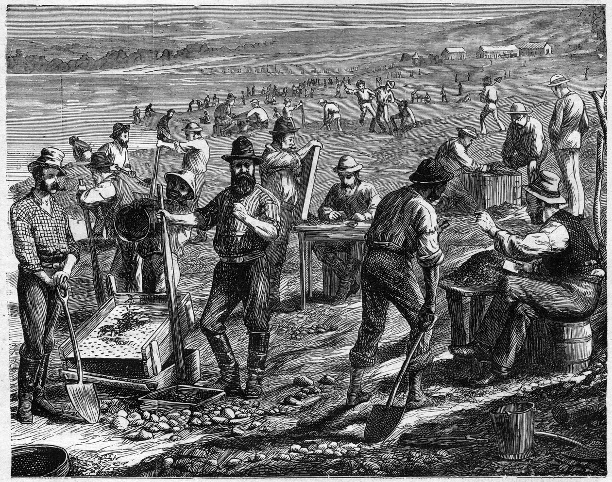 Les champs de diamants au Cap - Lavage des diamants - Lavage des diamants en Afrique du Sud au 19e siècle - Unknown artist