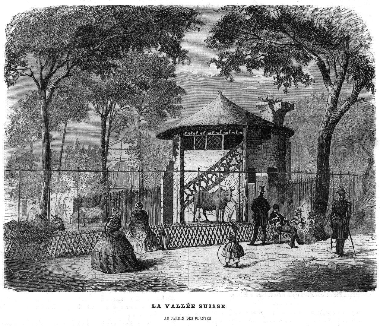 La vallée suisse dans le jardin des plantes à Paris en 1858 - Unknown artist