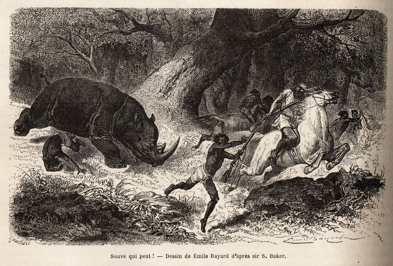 La charge du rhinocéros qui renverse et piège les chasseurs, lors de la recherche de l