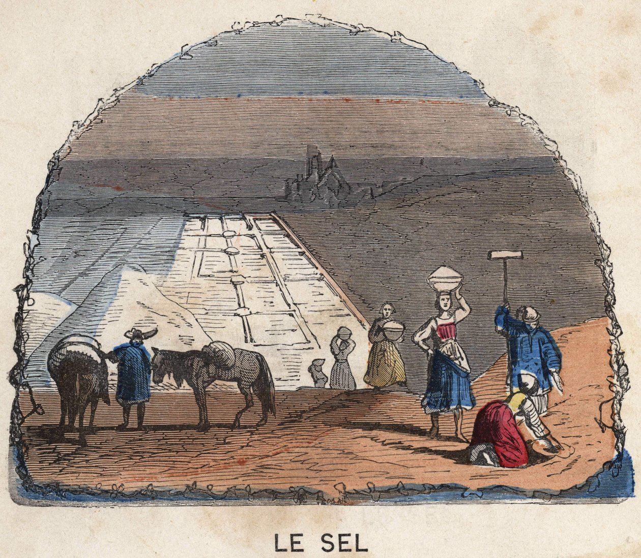 La récolte du sel. Illustration du XIXe siècle. Collection Bianchetti. - Unknown artist
