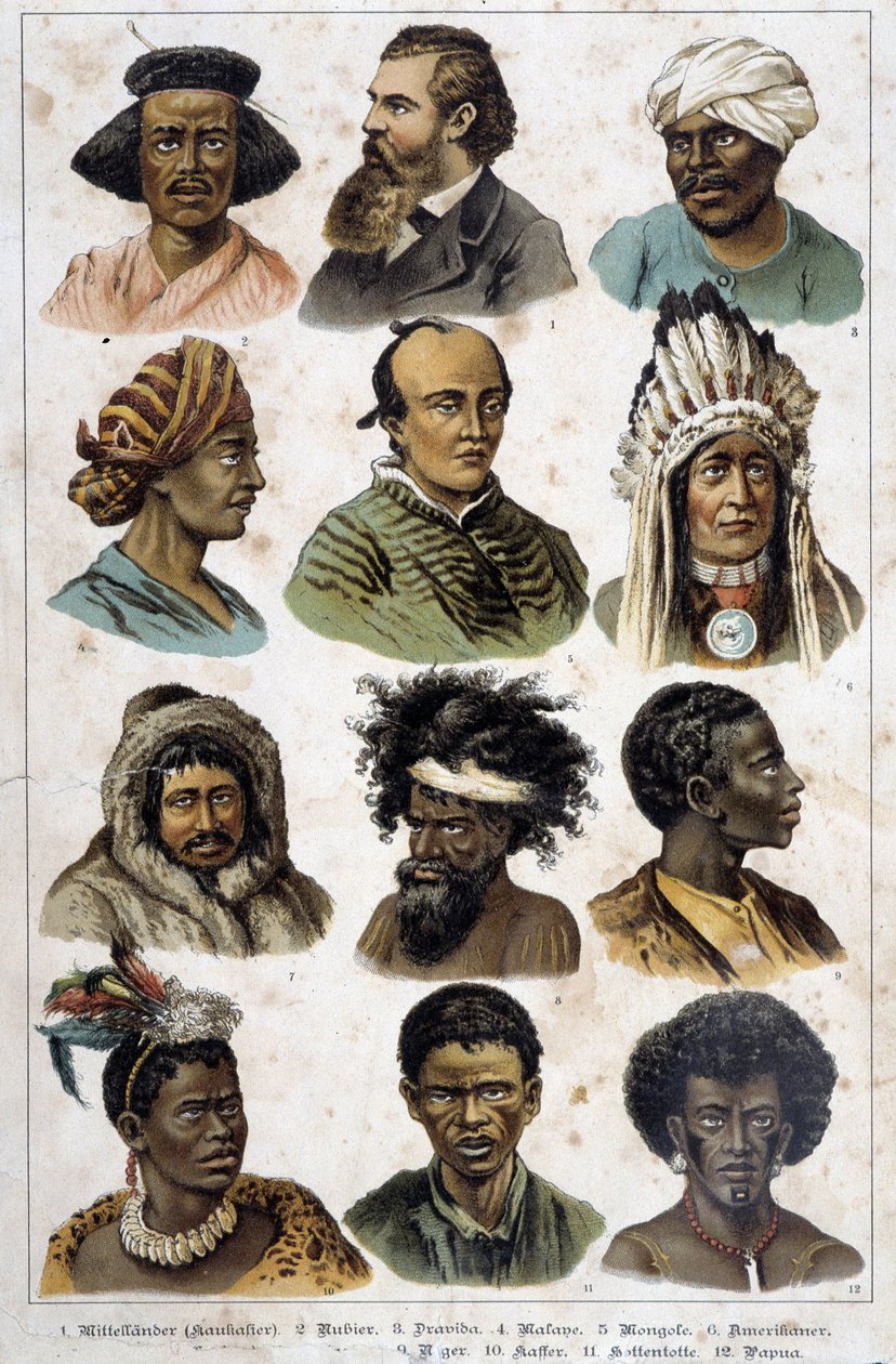Les différentes races humaines - Unknown artist