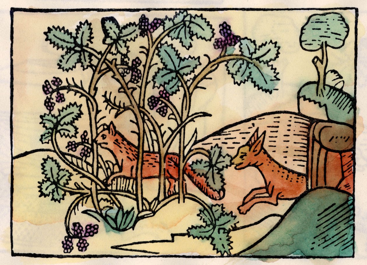 Le renard et les raisins. Fable d
