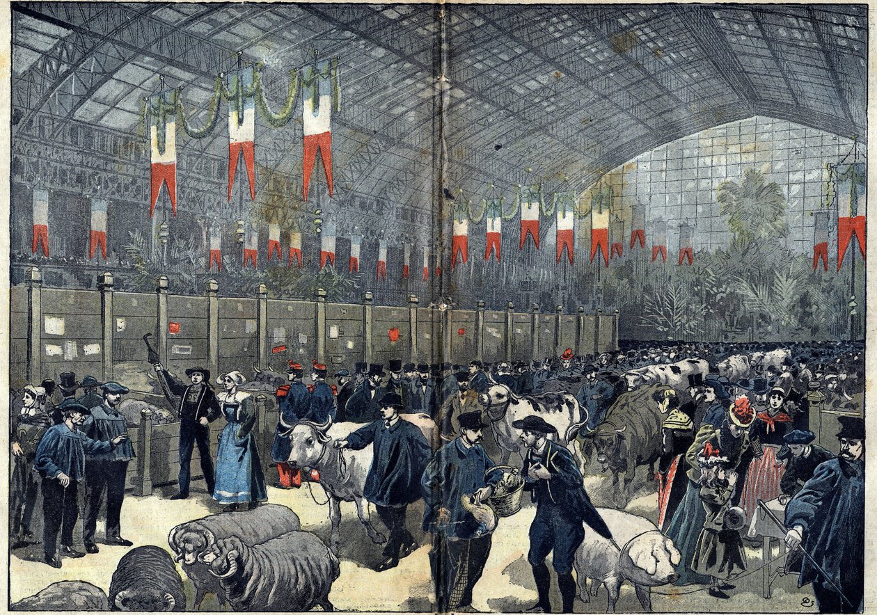Le concours général agricole de Paris - 14 mars - Unknown artist