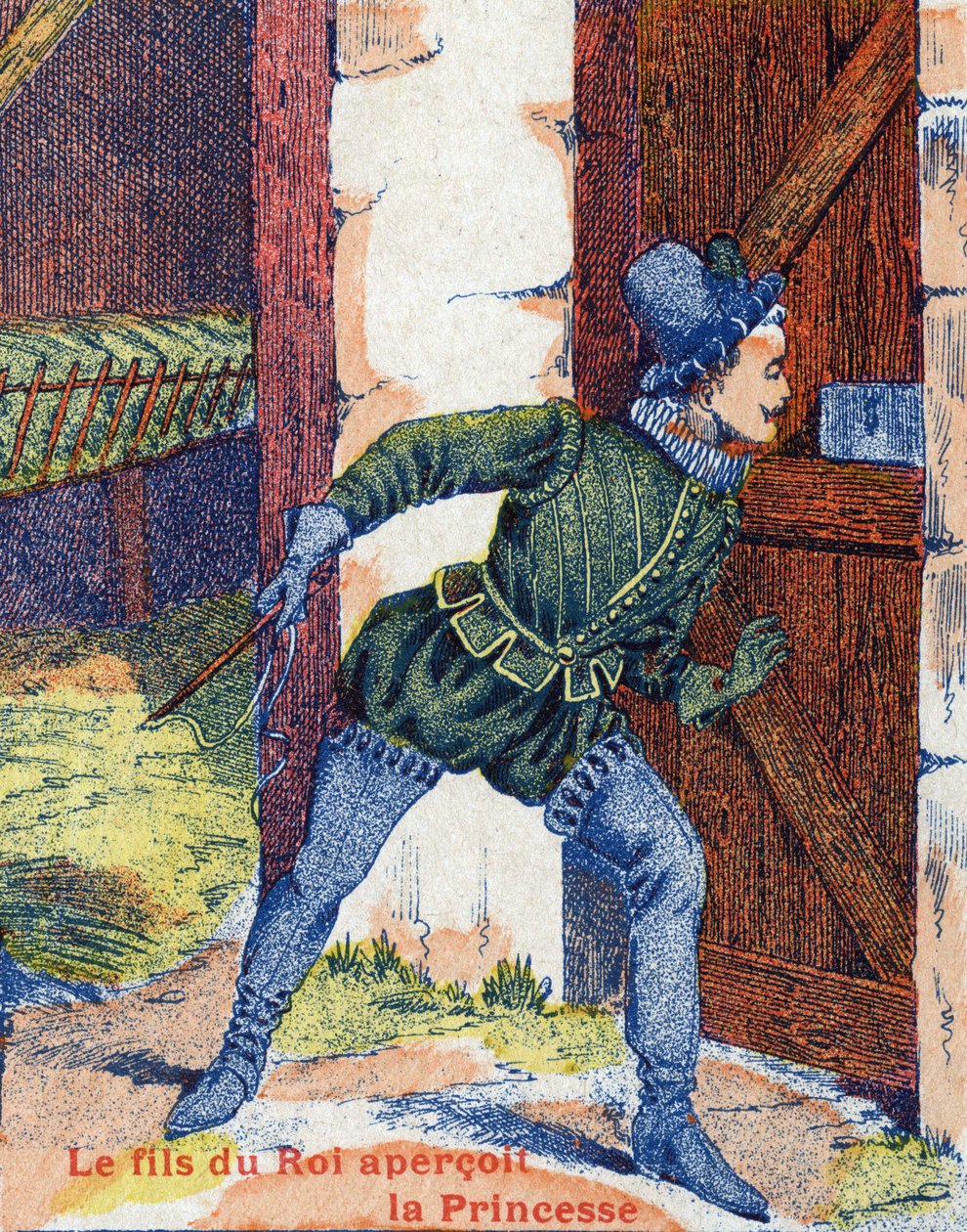 Le fils du roi vit la princesse. Illustration pour « Peau d