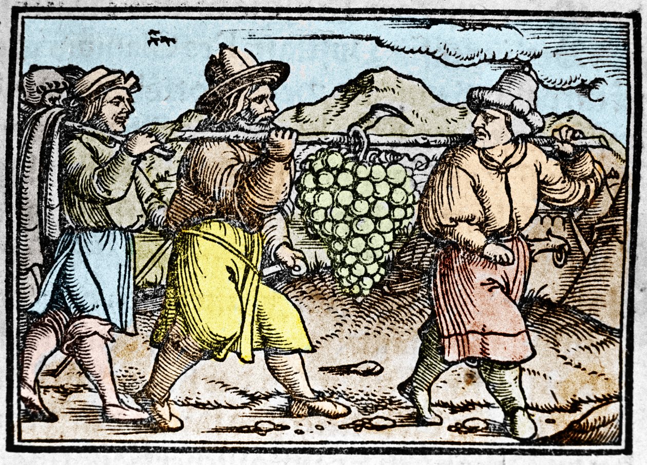Le retour de Josué et Caleb avec une énorme grappe de raisin du pays de Canaan (Terre Promise). Chronique par Johann Stumpff "Den edlen strucen besten fromen" - Unknown artist