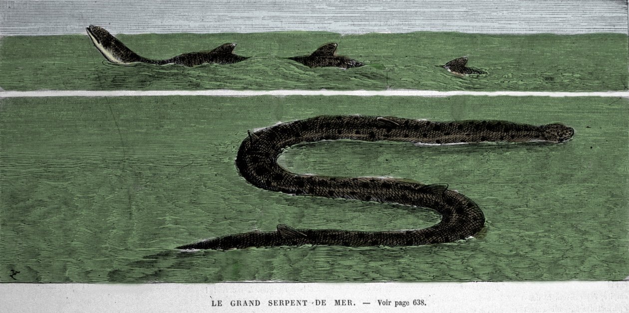Le serpent de mer observé en 1872 dans l