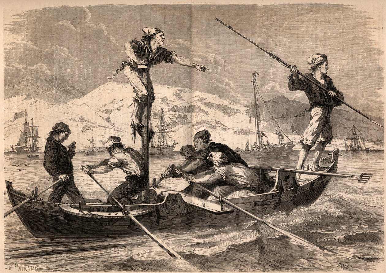 La pêche au harpon de l