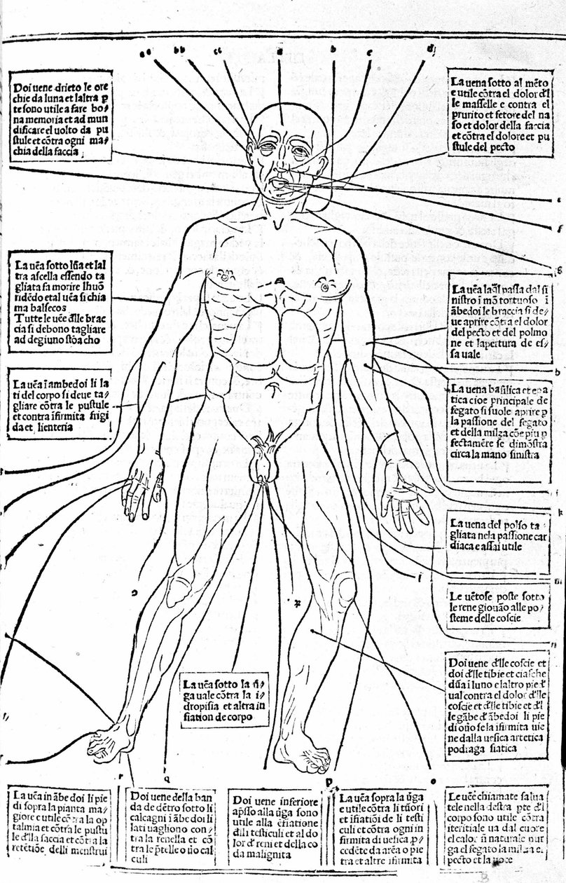 Cette image montre les endroits du corps pour pratiquer la saignée selon la douleur. Traité de Médecine par Gerolamo Cardano (Cardanus Hieronymus), Florence - Unknown artist