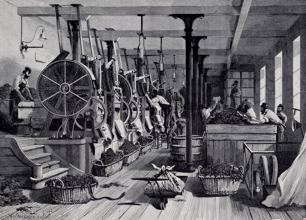Usine de tabac, buanderie et râpage de tabac. Gravure vers 1867. Paris, Musée Carnavalet - Unknown artist