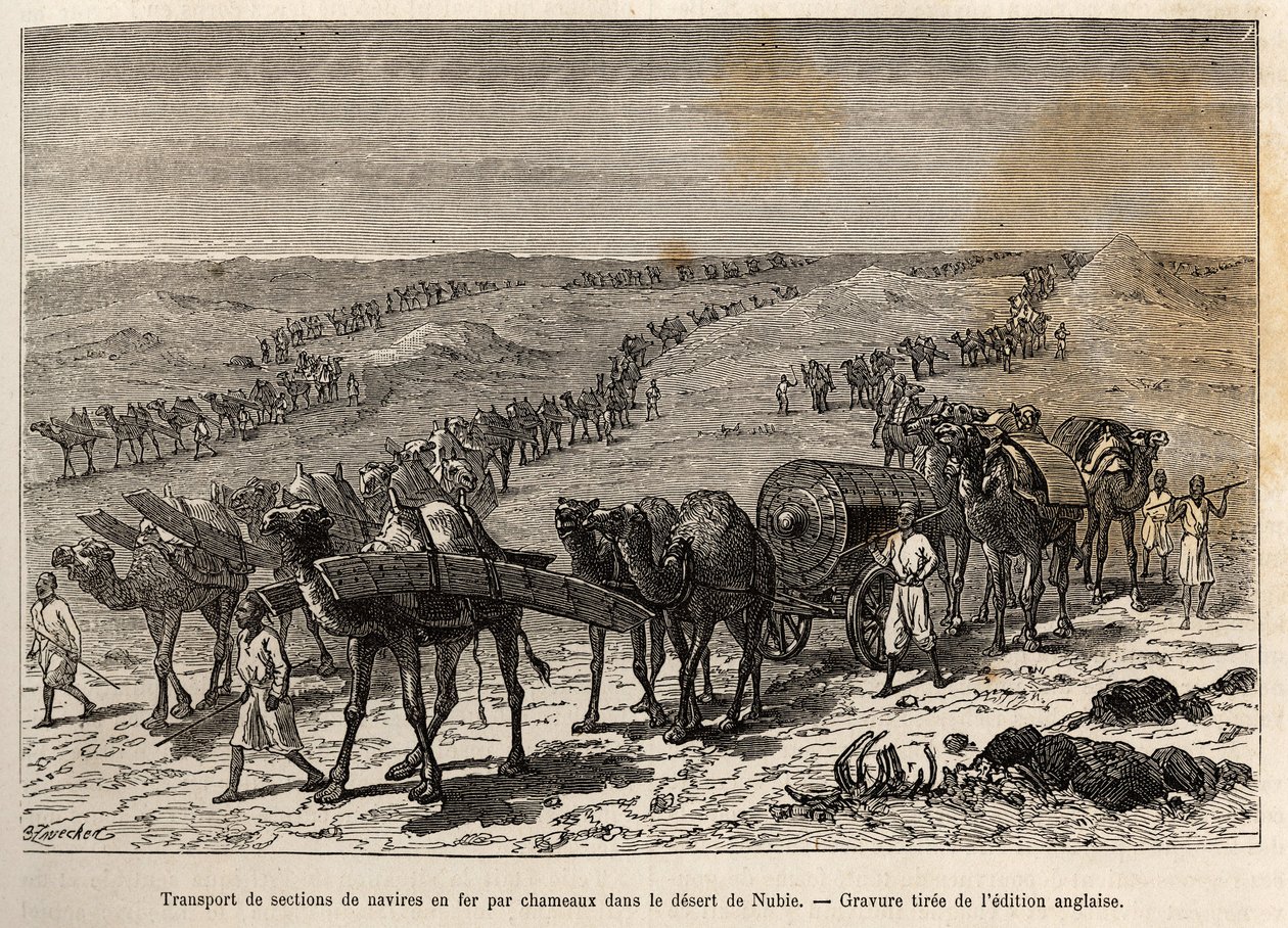 Transport de sections de navire en fer par des chameaux, dans le désert de Nubie (Soudan), gravure illustrant une expédition armée en Afrique centrale, pour la suppression du commerce noir - Unknown artist