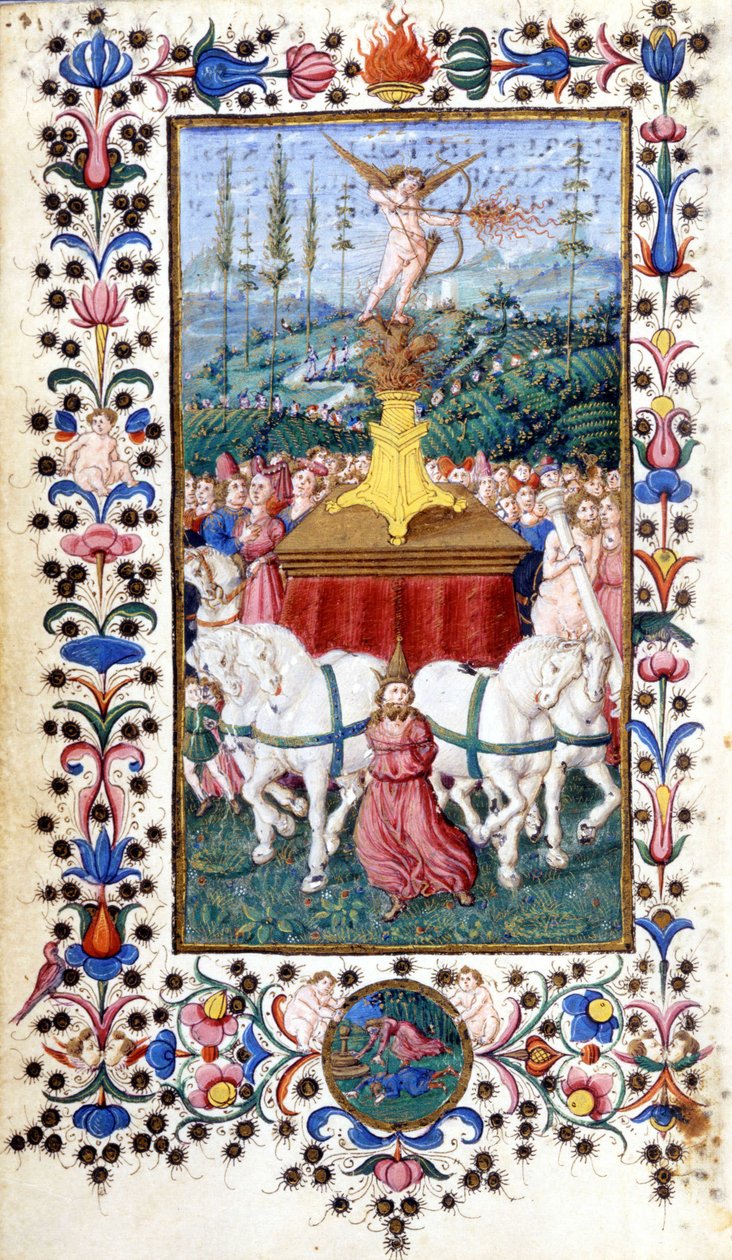 Triunfus Amoris (triomphe de l