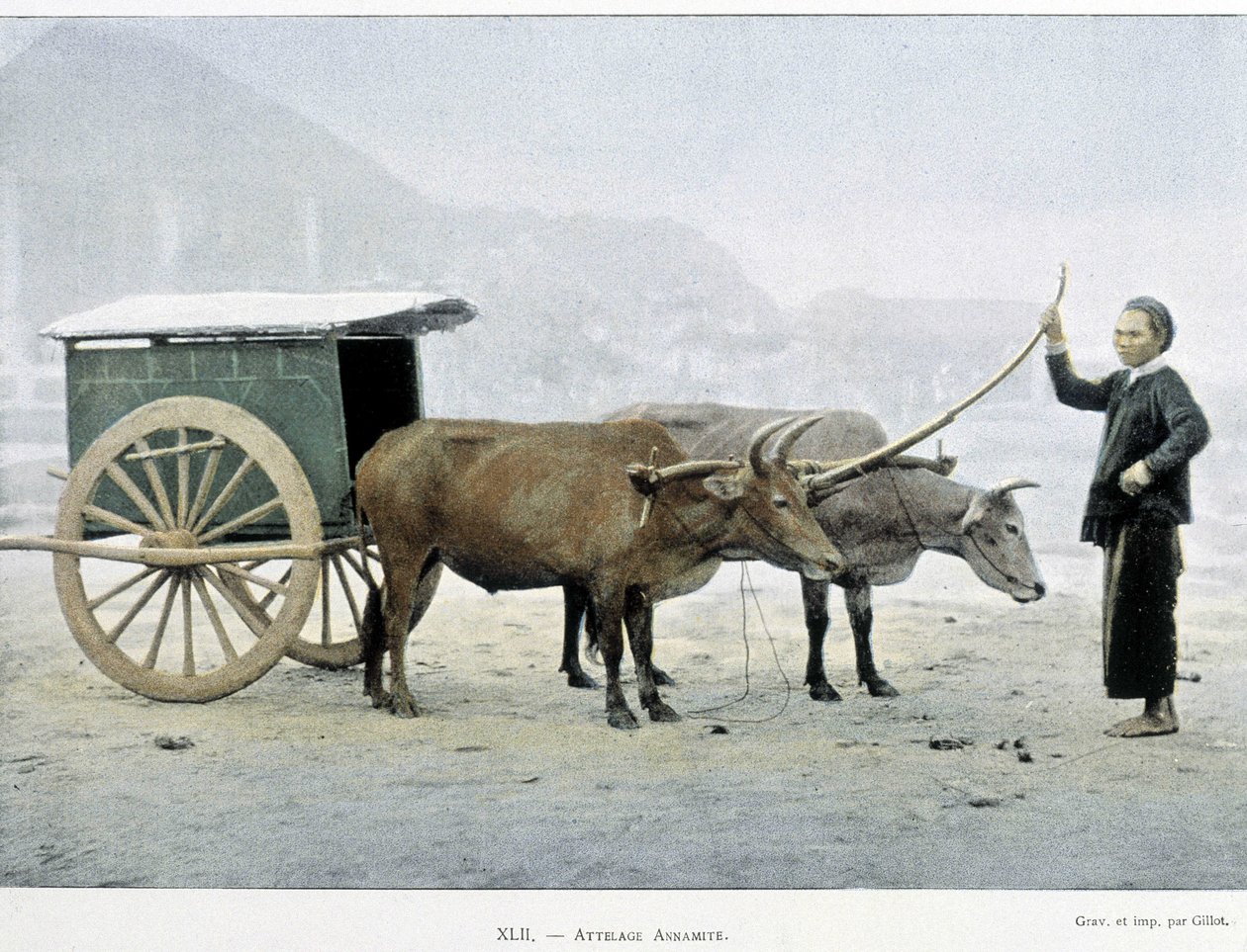 Attelage vietnamien, « Tour du monde », fin du 19ème siècle - Unknown artist