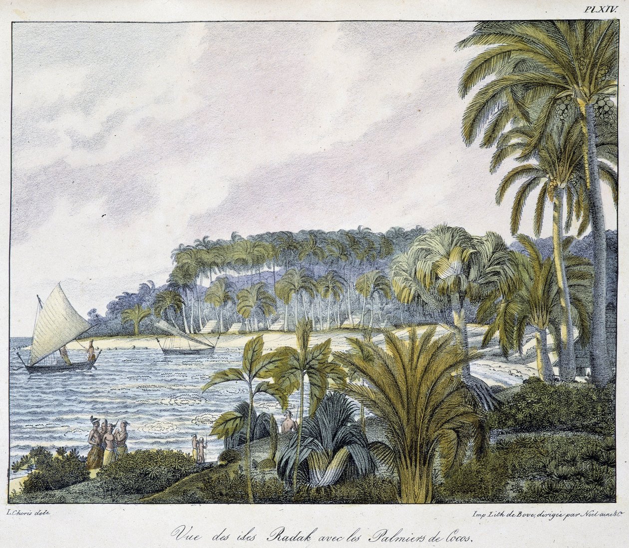 Vue des îles Radak de l