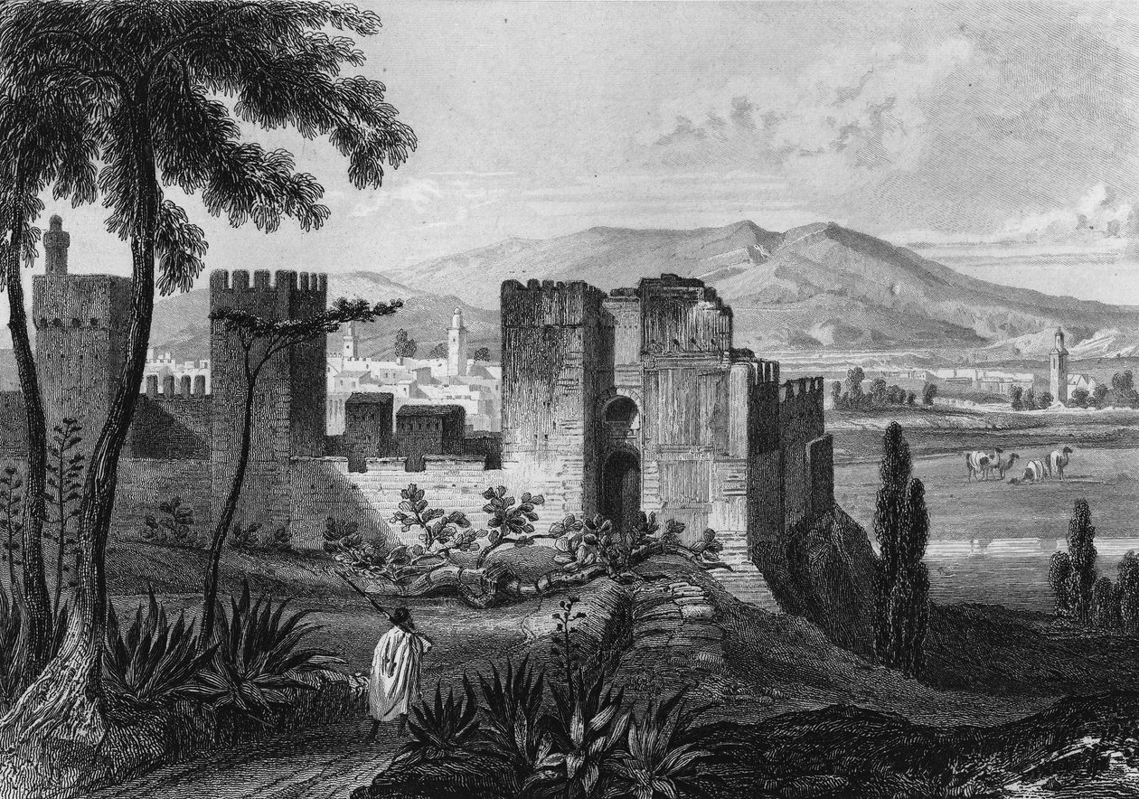 Vue de l