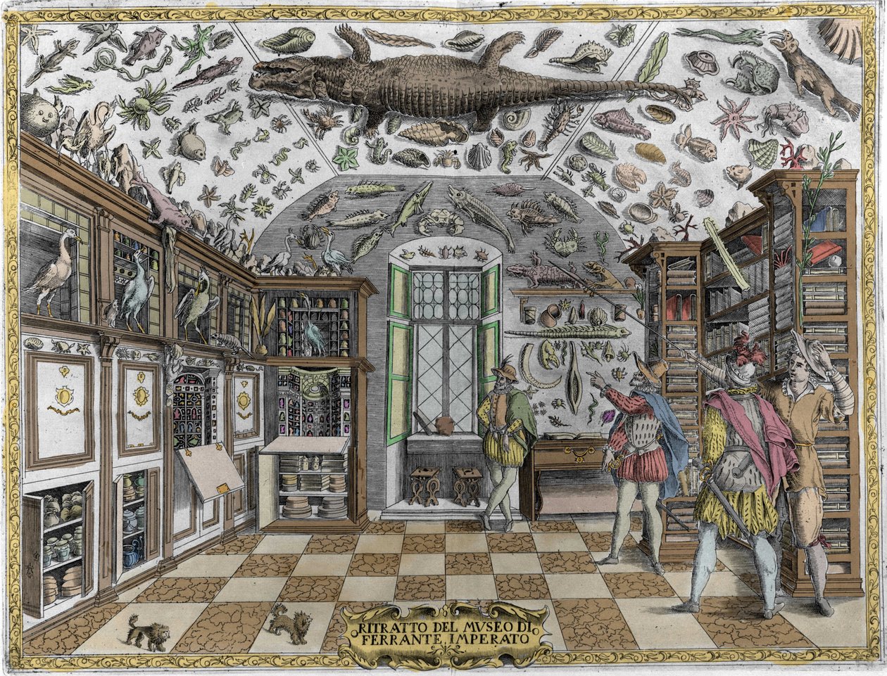 Vue du musée (cabinet) de curiosités (musée encyclopédique) du pharmacien Ferrante Imperato (1550-1631). Gravure de 1678. Musée de l