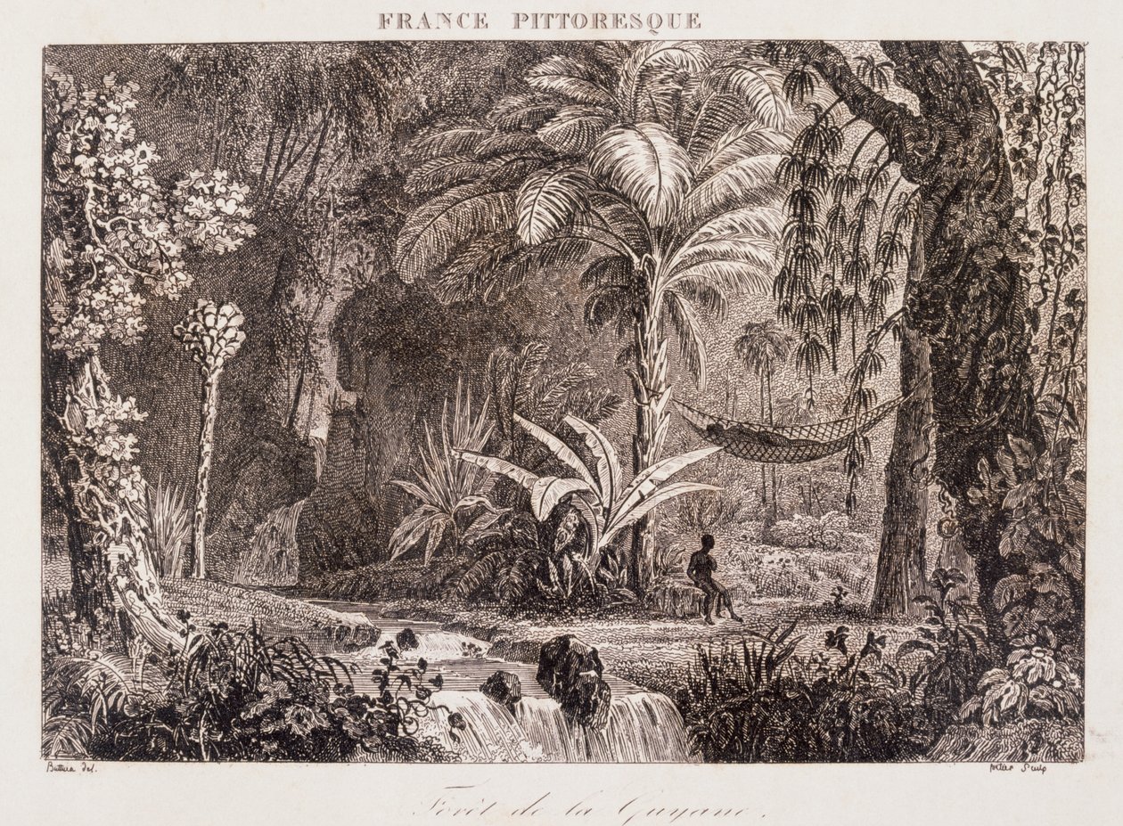 Gravure représentant la colonie française de Guyane en Amérique du Sud 1850 - Unknown artist