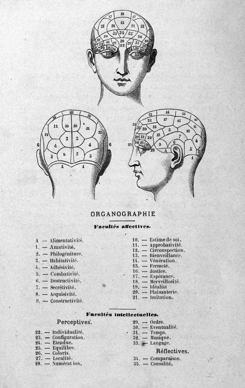 Illustration du livre de Charles Rouvin de 1873 Organographie La Tête humaine, études illustrées de phrénologie et de physionomie appliquées à des personnages célèbres Paris 1873 - Unknown artist
