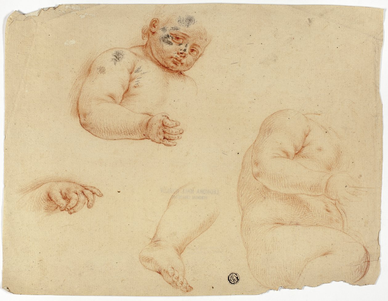 Croquis d
