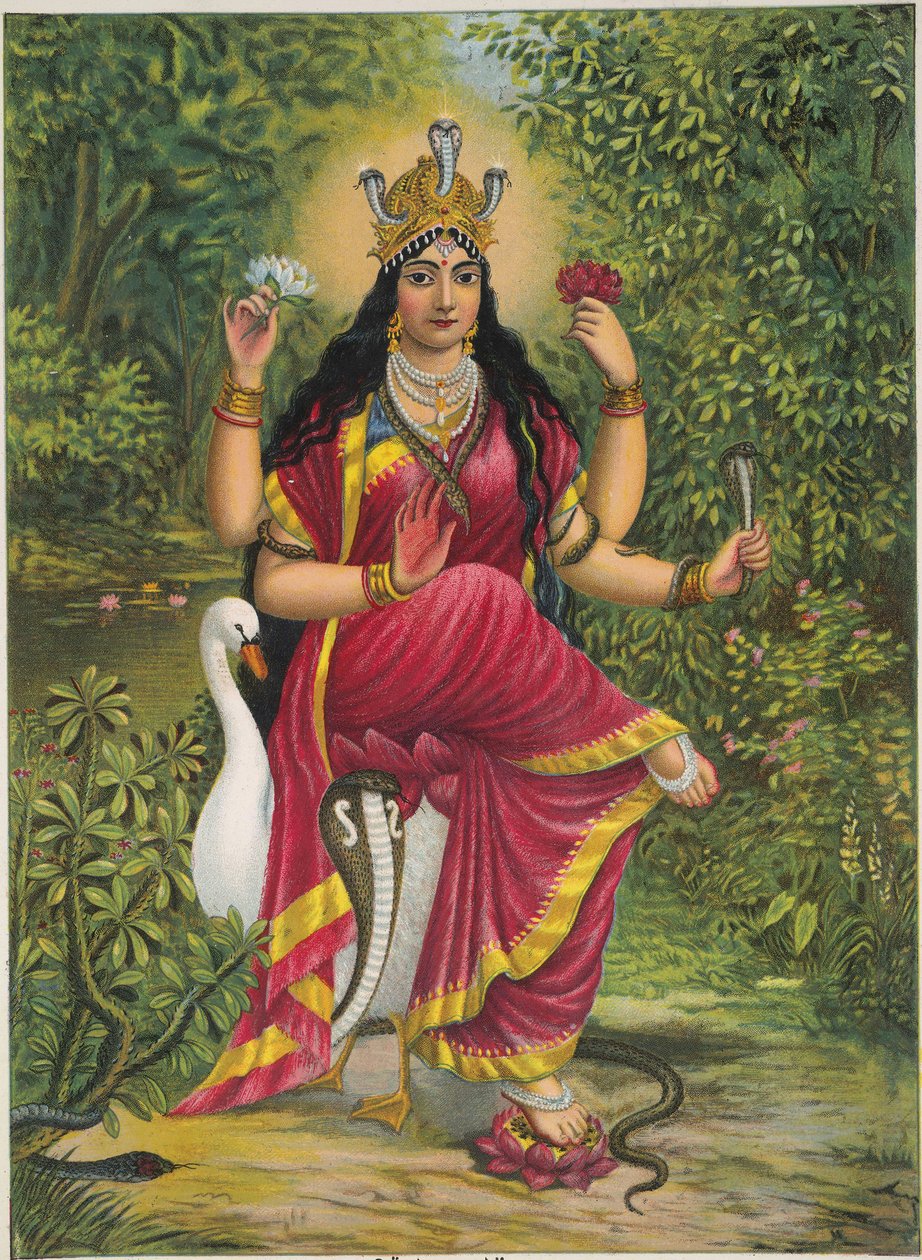 Manasa Devi - Unknown artistUnknown artist