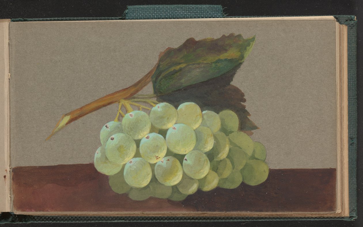 Une grappe de raisins - Unknown artist