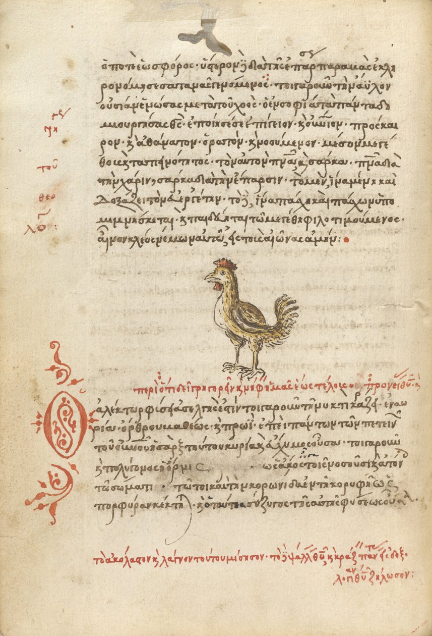 Une poule - Unknown artist
