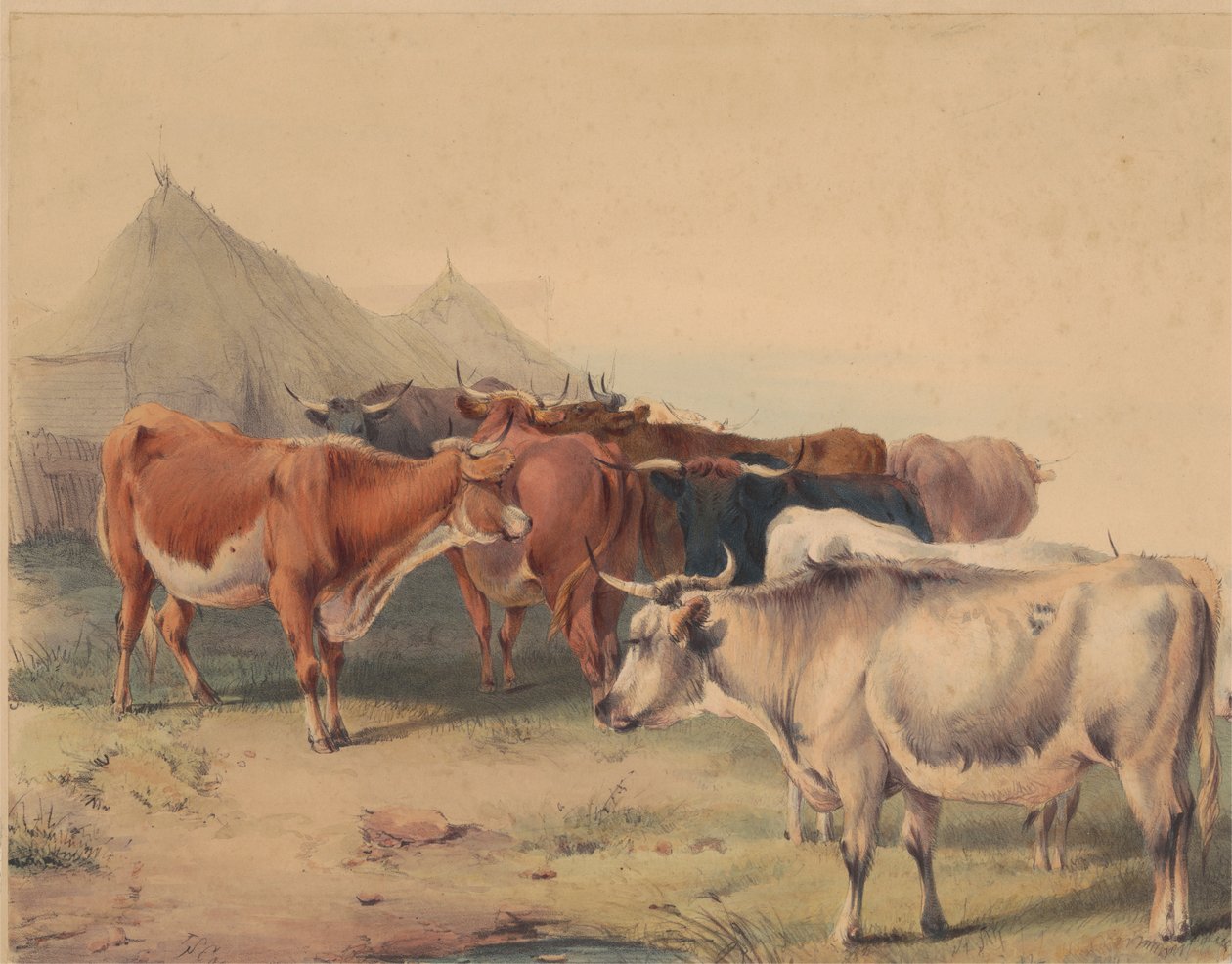 Un troupeau de bovins - Unknown artist