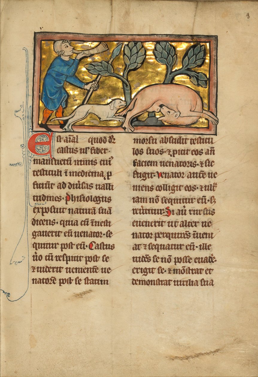 Un chasseur et un castor - Unknown artist