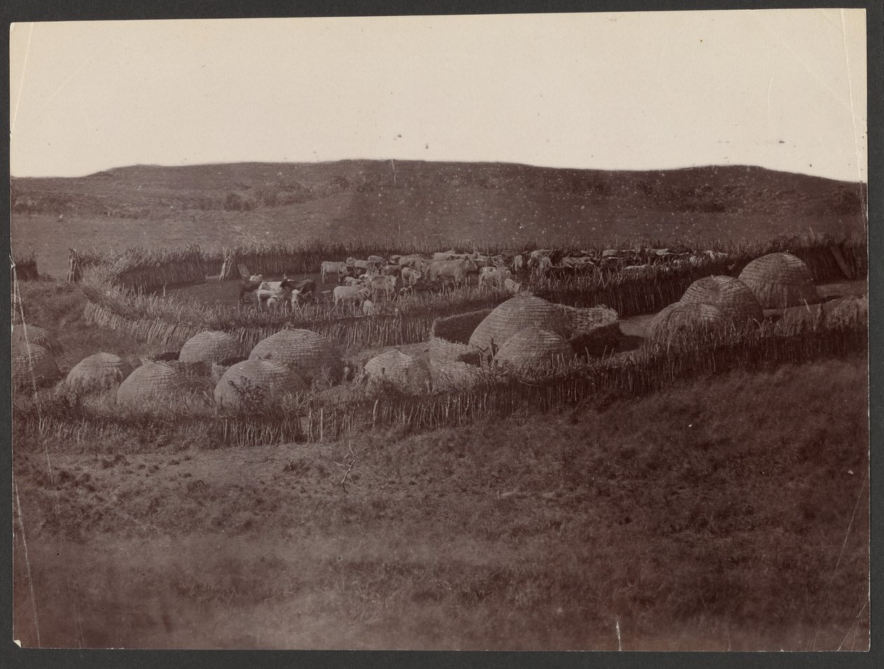 A Kraal, Zulu Land - Unknown artist