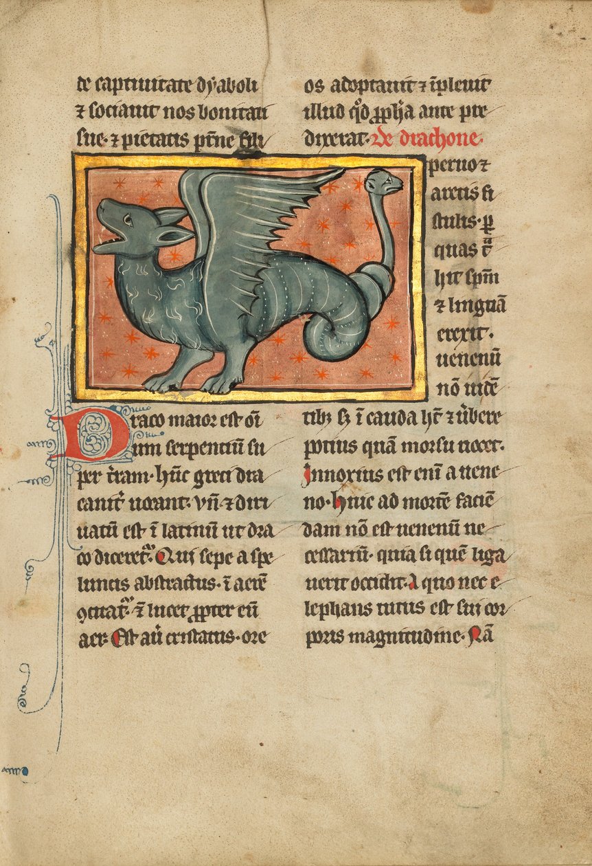 Un dragon ailé - Unknown artist