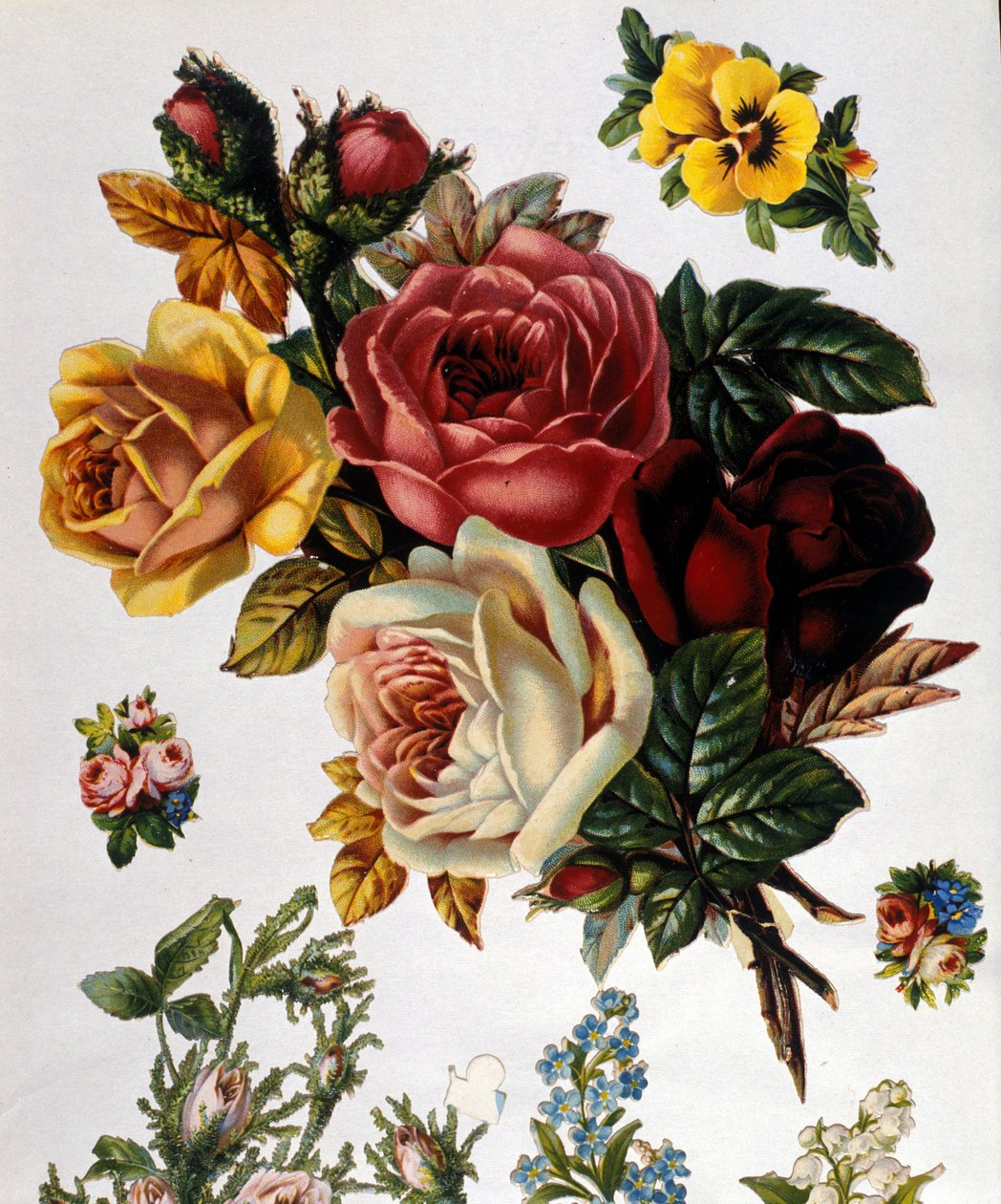 Un bouquet de roses. Chromolithographie du 19ème siècle. - Unknown artist