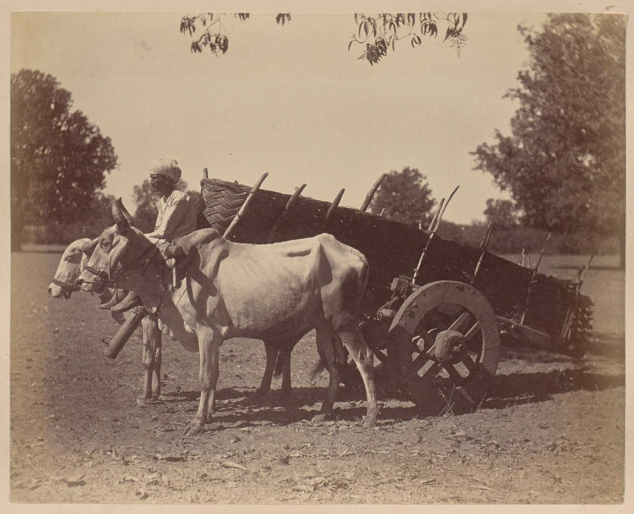 Charrette agricole, Guzerat - Unknown artist