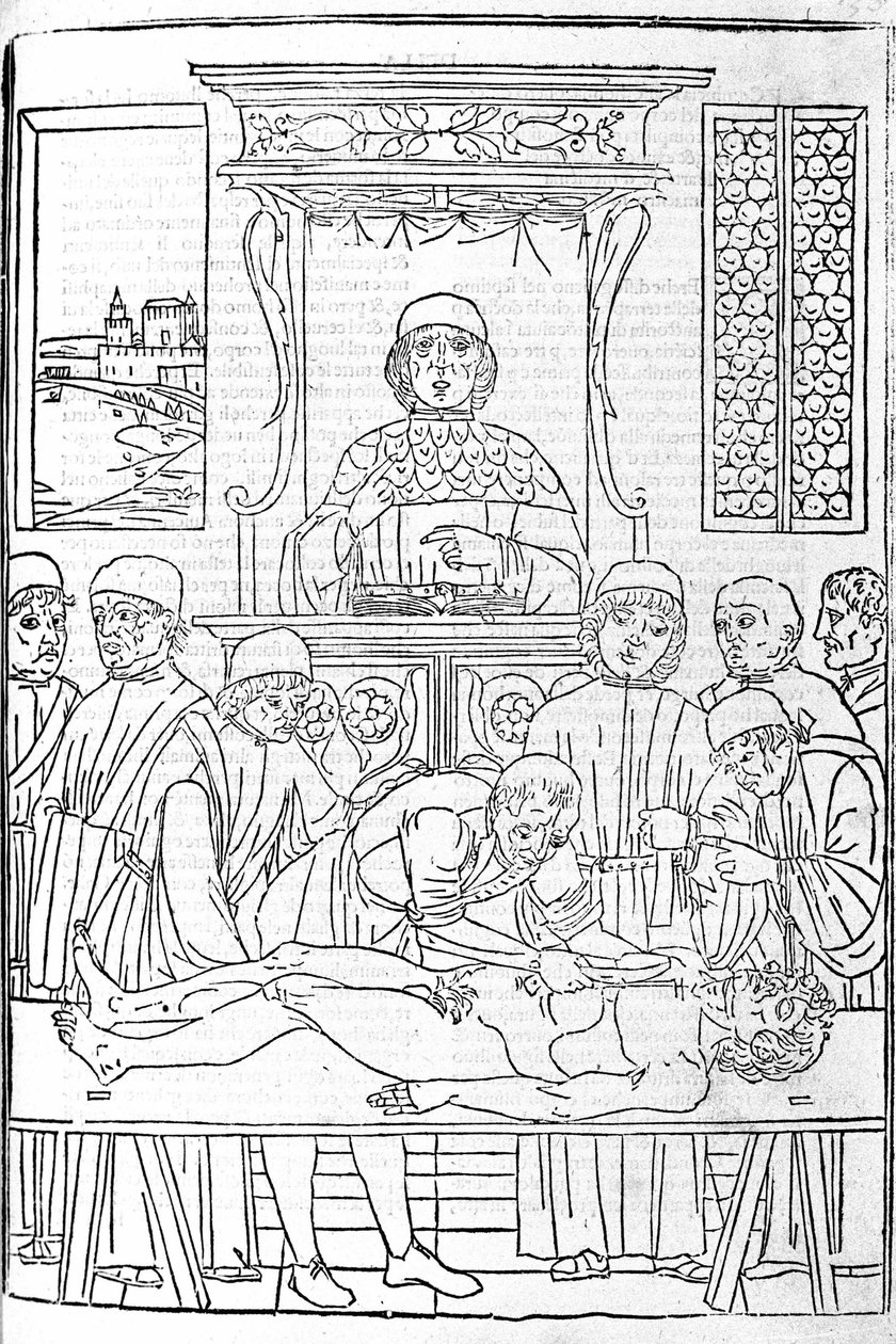 Dissection anatomique. Gravure d