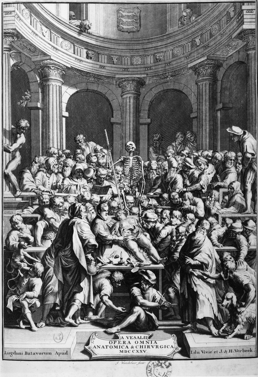 André Vésale (1514-1564), fondateur de l