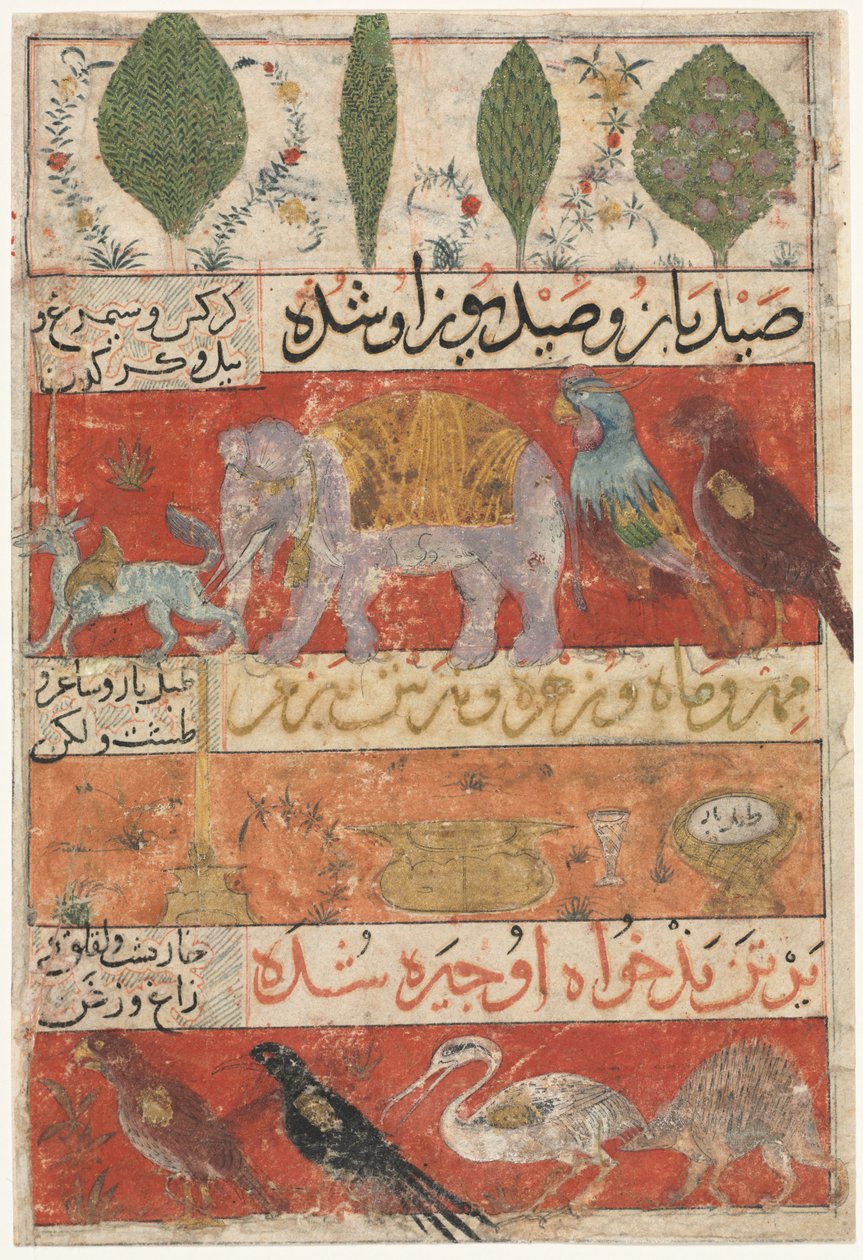 Animaux, oiseaux et plantes (verso) de Mu